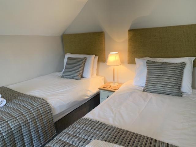 Llwyngwair Manor, Newport, Pembrokeshire Ξενοδοχείο Νιούπορτ Εξωτερικό φωτογραφία